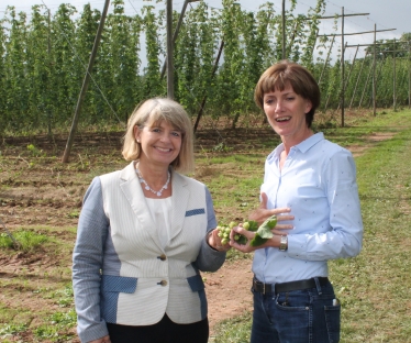 WEST WORCESTERSHIRE MP Harriett Baldwin visited one of the country’s major hop producers to help with the harvest and celebrate local produce.